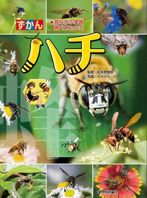ずかんハチ 見ながら学習調べてなっとく