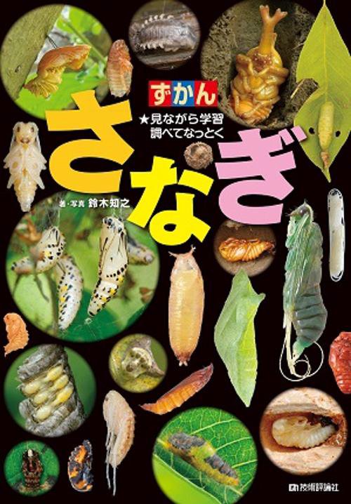 ずかんさなぎ 見ながら学習調べてなっとく