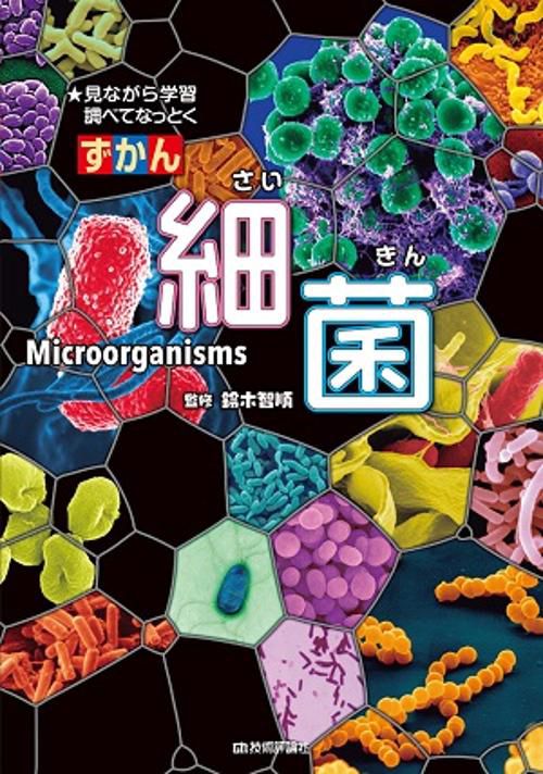 ずかん細菌 見ながら学習調べてなっとく