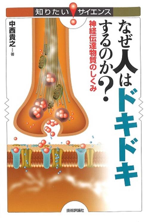 なぜ人はドキドキするのか? 神経伝達物質のしくみ