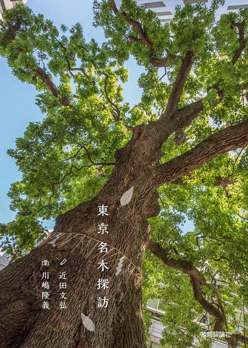 東京名木探訪 プロの目線で散策気分