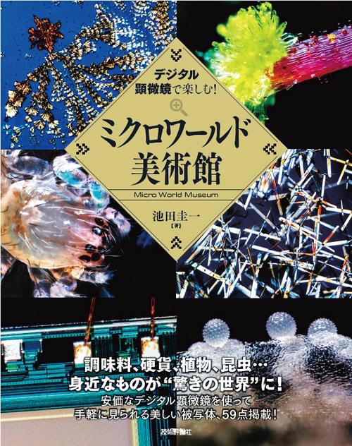 デジタル顕微鏡で楽しむ!ミクロワールド美術館