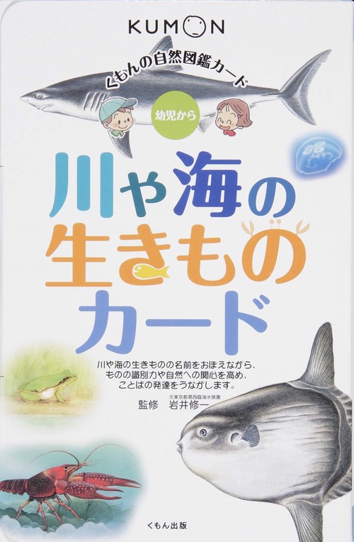 川や海の生きものカード 第2版
