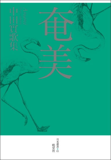 奄美