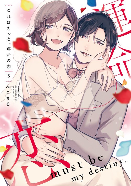 これはきっと、運命の恋 3