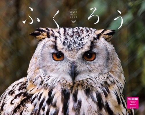 ふくろうカレンダー　２０２６