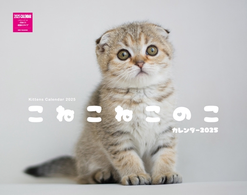 こねこねこのこカレンダー　２０２５