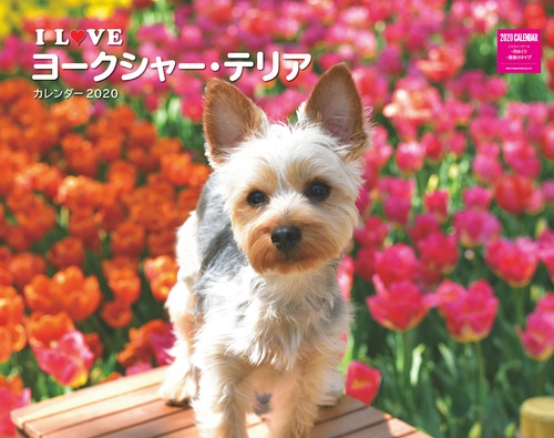カレンダー '20 I LOVEヨークシ