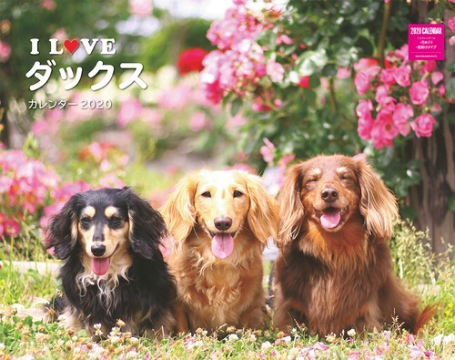 カレンダー '20 I LOVEダックス