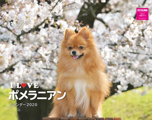 カレンダー '20 I LOVEポメラニ