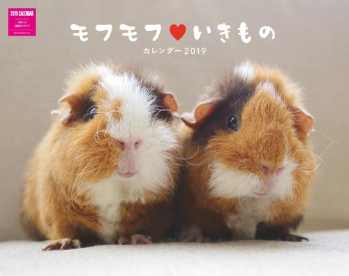 カレンダー '19 モフモフ・いきもの