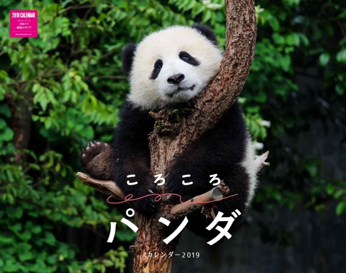 カレンダー '19 ころころパンダ