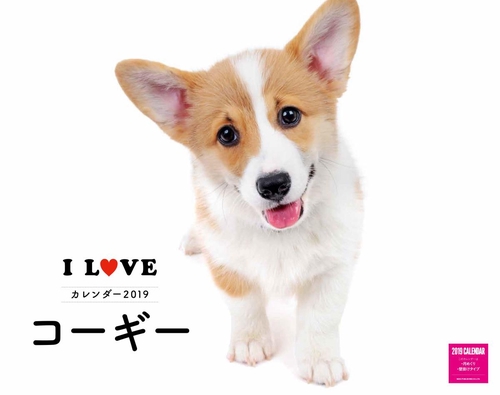 カレンダー '19 I LOVEコーギー