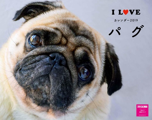 カレンダー '19 I LOVE パグ