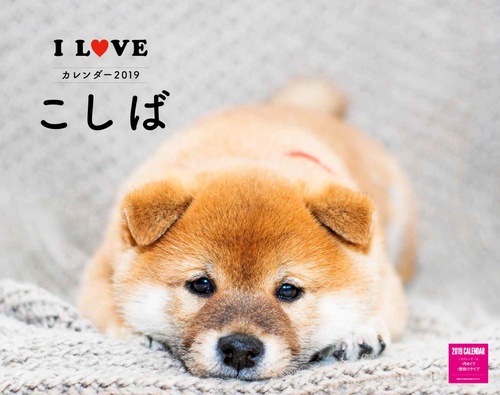 カレンダー '19 I LOVE こしば
