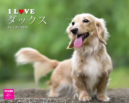 カレンダー '19 I LOVEダックス