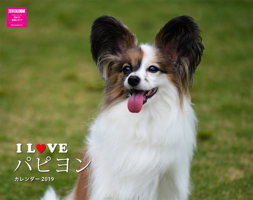 カレンダー '19 I LOVEパピヨン