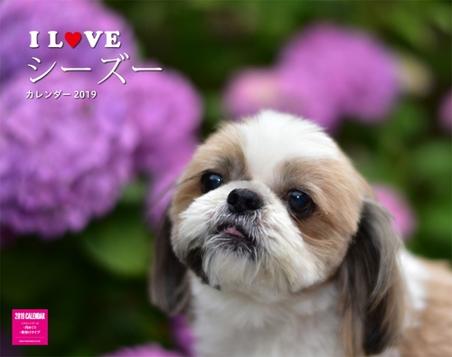 カレンダー '19 I LOVEシーズー