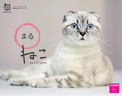 カレンダー '19 まるねこ