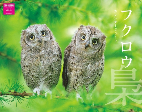 カレンダー '19 フクロウ