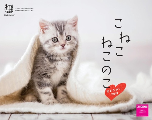 カレンダー '19 こねこねこのこ