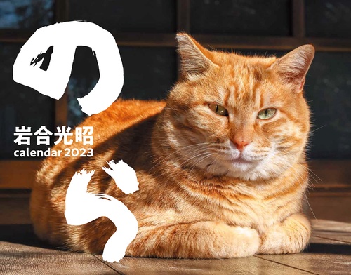 2023猫カレンダー のら