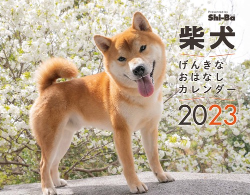 2023カレンダー 柴犬げんきな おはなしカレンダー