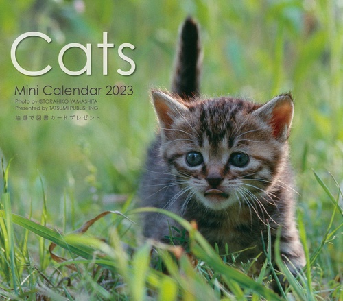 2023ミニカレンダー キャッツ