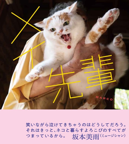メイ先輩