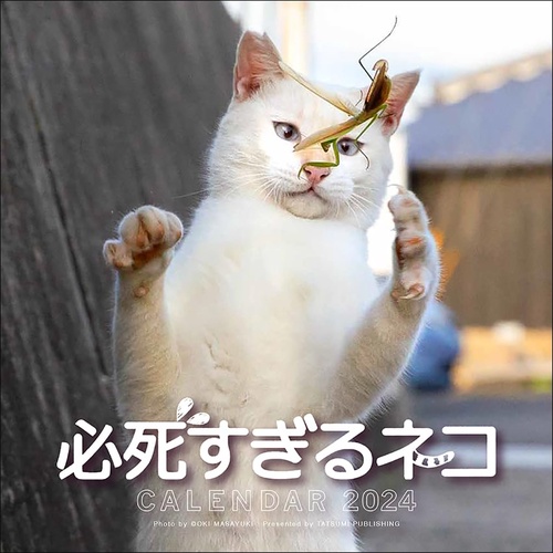 2024 必死すぎるネコカレンダー