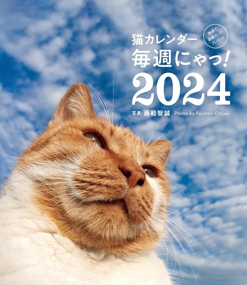 2024 猫カレンダー 毎週にゃっ!
