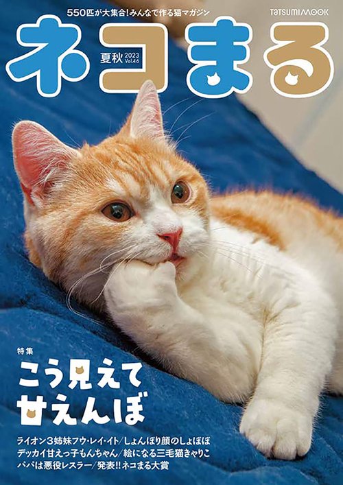 ネコまる 夏秋号