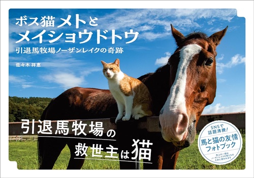 ボス猫メトと メイショウドトウ