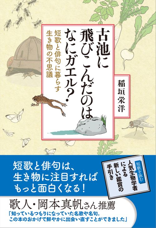 古池に飛びこんだのは なにガエル？
