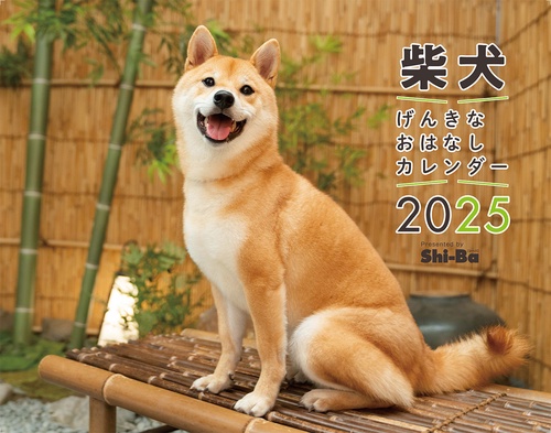 2025　柴犬げんきな おはなしカレンダー