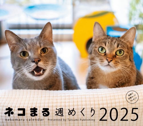 2025カレンダー　ネコまる週めくり