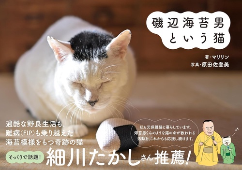 磯辺海苔男という猫