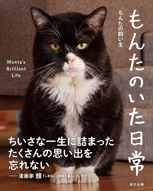 もんたのいた日常