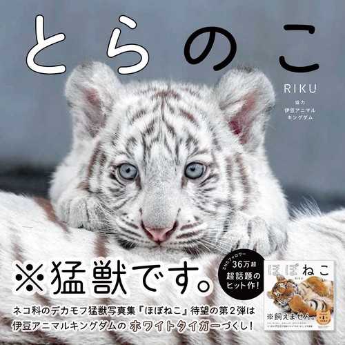 とらのこ