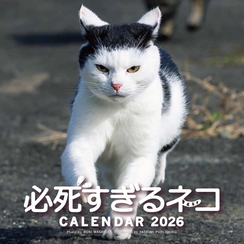 2026　必死すぎるネコカレンダー