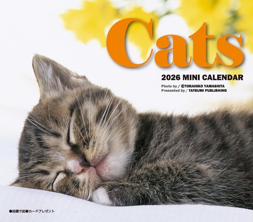 2026　ミニカレンダー　キャッツ