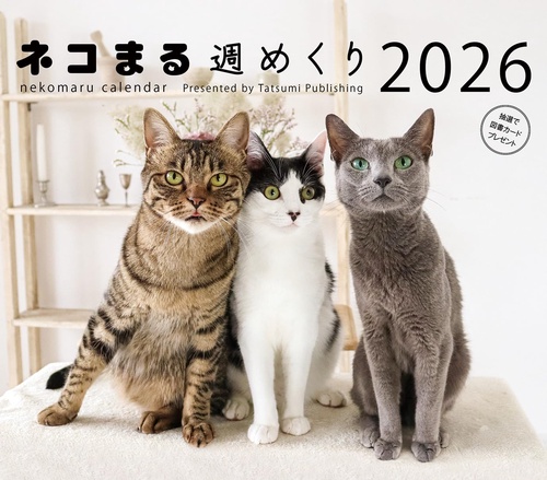 2026　カレンダー　ネコまる週めくり