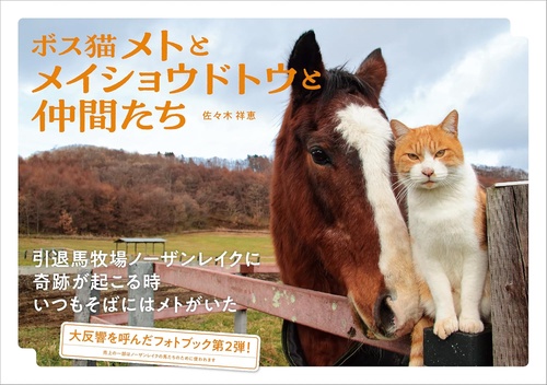 ボス猫メトとメイショウドトウと仲間たち