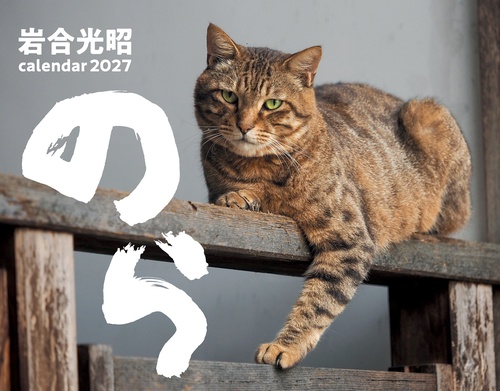 2027　猫カレンダー　のら