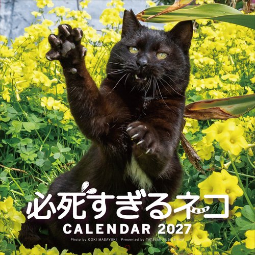 2027　必死すぎるネコカレンダー