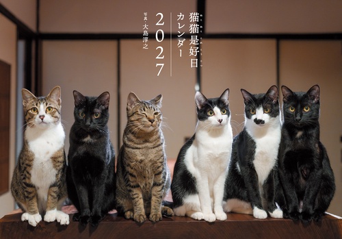 2027　猫猫是好日