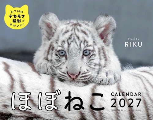 2027　ほぼねこカレンダー