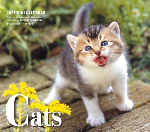 2027　ミニカレンダー　キャッツ