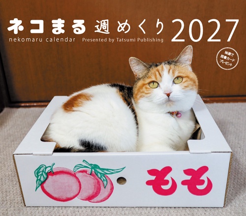 2027　カレンダー　ネコまる週めくり