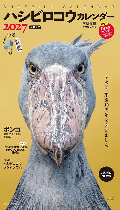 2027 ハシビロコウカレンダー